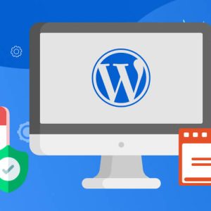 Create a professional and responsive wordpress website for you