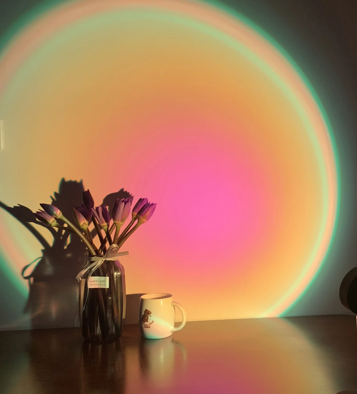 Christmas Gifts 2025 RGB Wall Decoration Lamp Mini LED Projector Lamp - Image 6